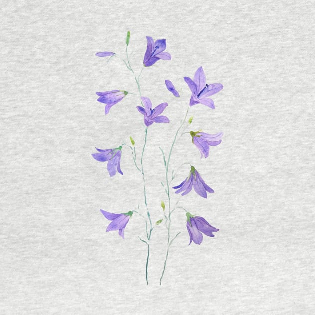 purple harebell wildflower watercolor by colorandcolor